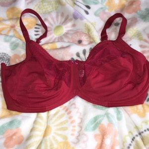 Red and pink lace bra.